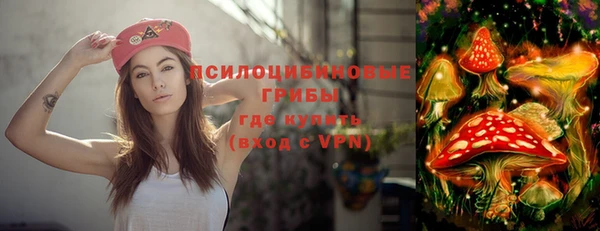 mdpv Богородицк
