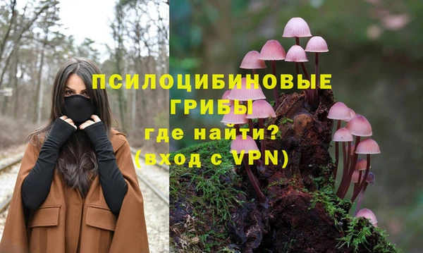 MDMA Premium VHQ Беломорск