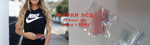 mdpv Богородицк