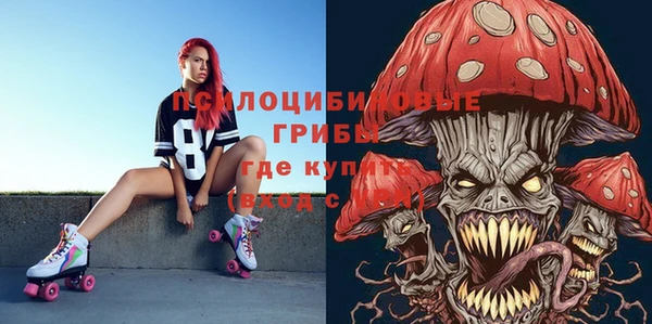 эйфоретик Богданович