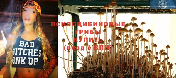 эйфоретик Богданович