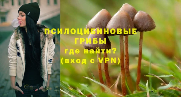 mdpv Богородицк