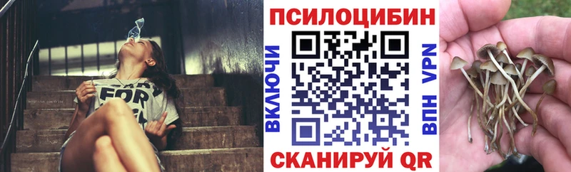 Псилоцибиновые грибы Psilocybine cubensis  где купить наркоту  Оха 